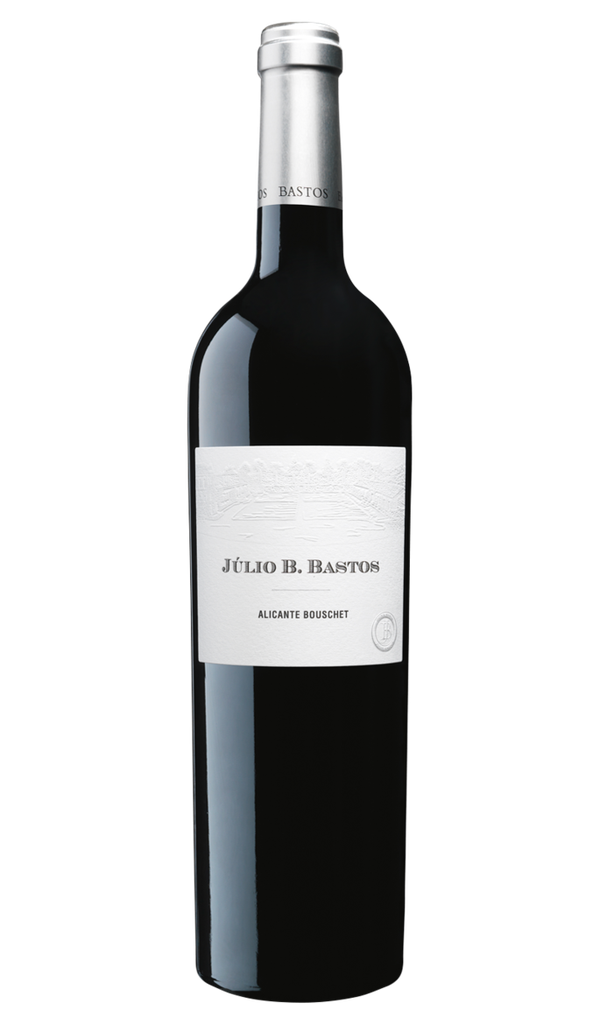 Julio-B-Bastos-2015