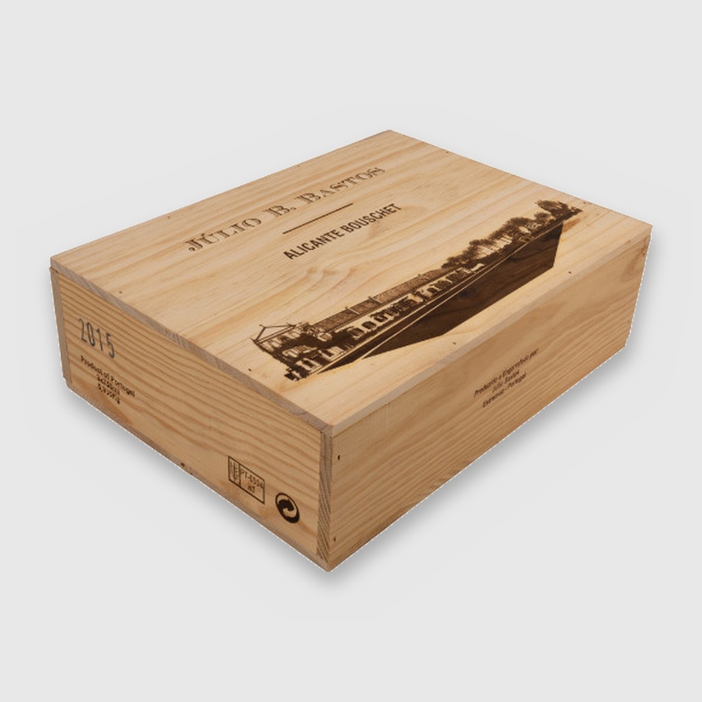 Julio-B-Bastos-2015-2_1600