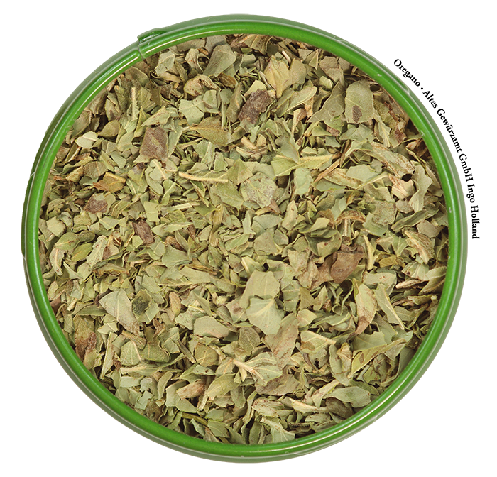 Oregano-geschnitten