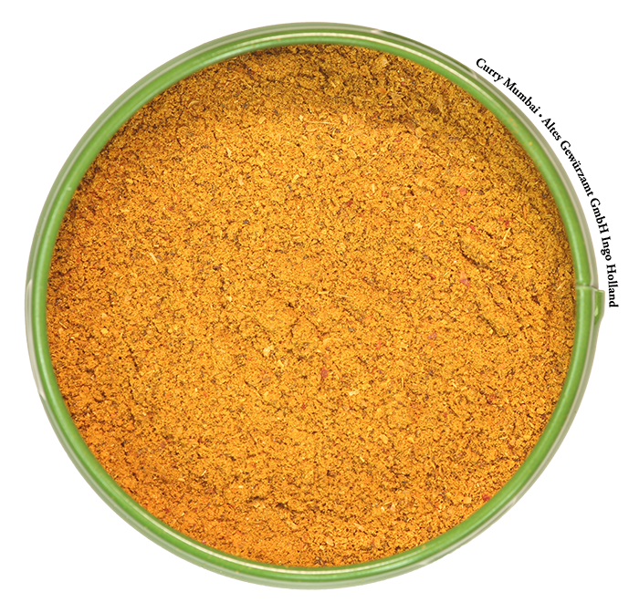 Curry-Mumbai-mild