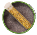 Fenchelpollen