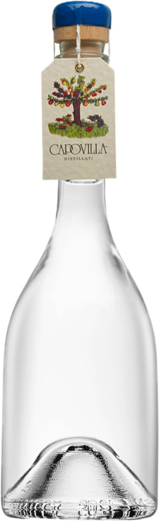 Bacche-di-Sambuco-2022