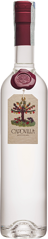 Grappa-di-Brunello-2015