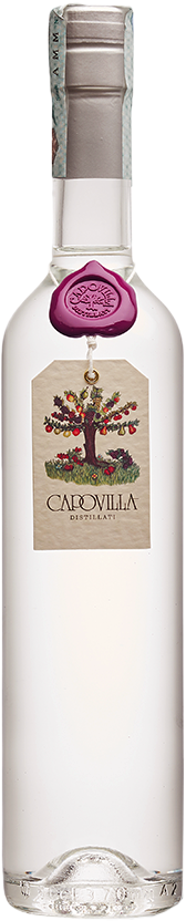 Grappa-di-Merlot
