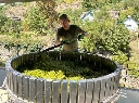 Markus lang 3.webp