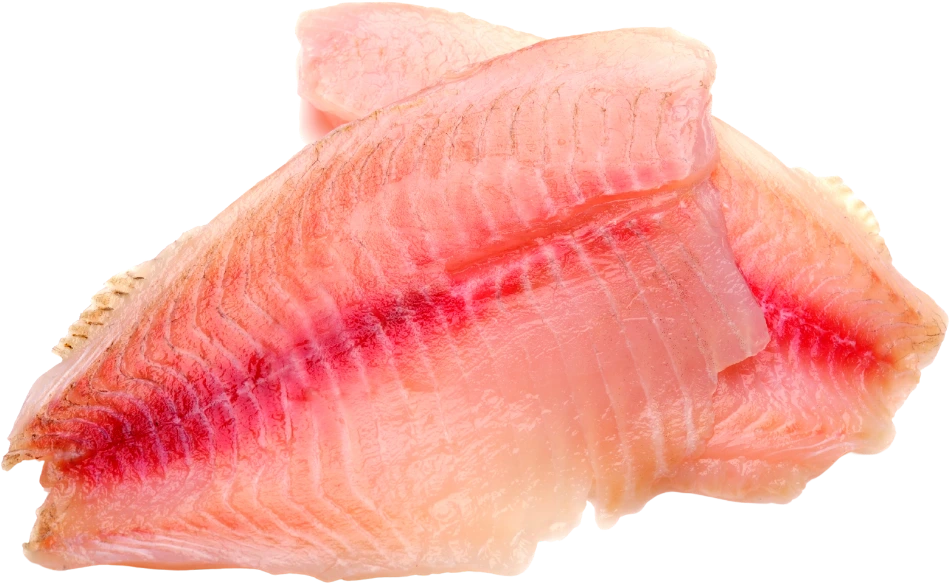 Fischfilet png.webp
