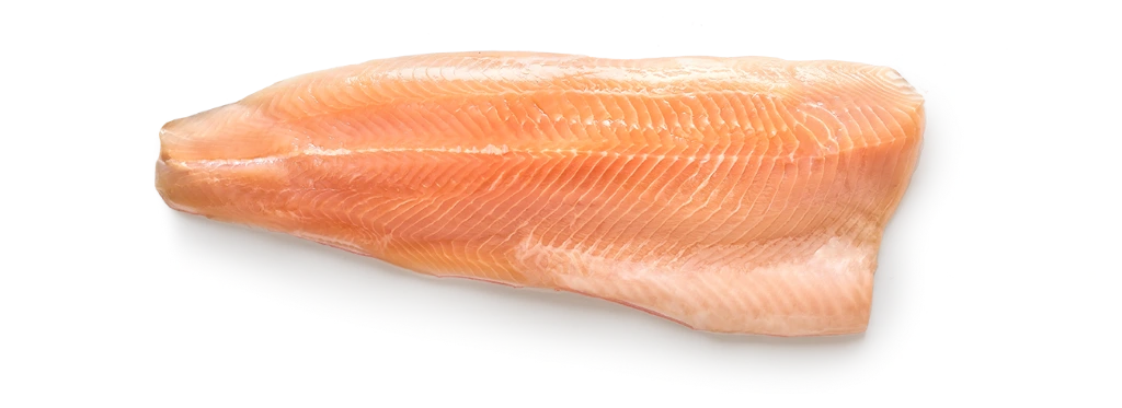 Seesaibling_Filet-e1477321417607.webp