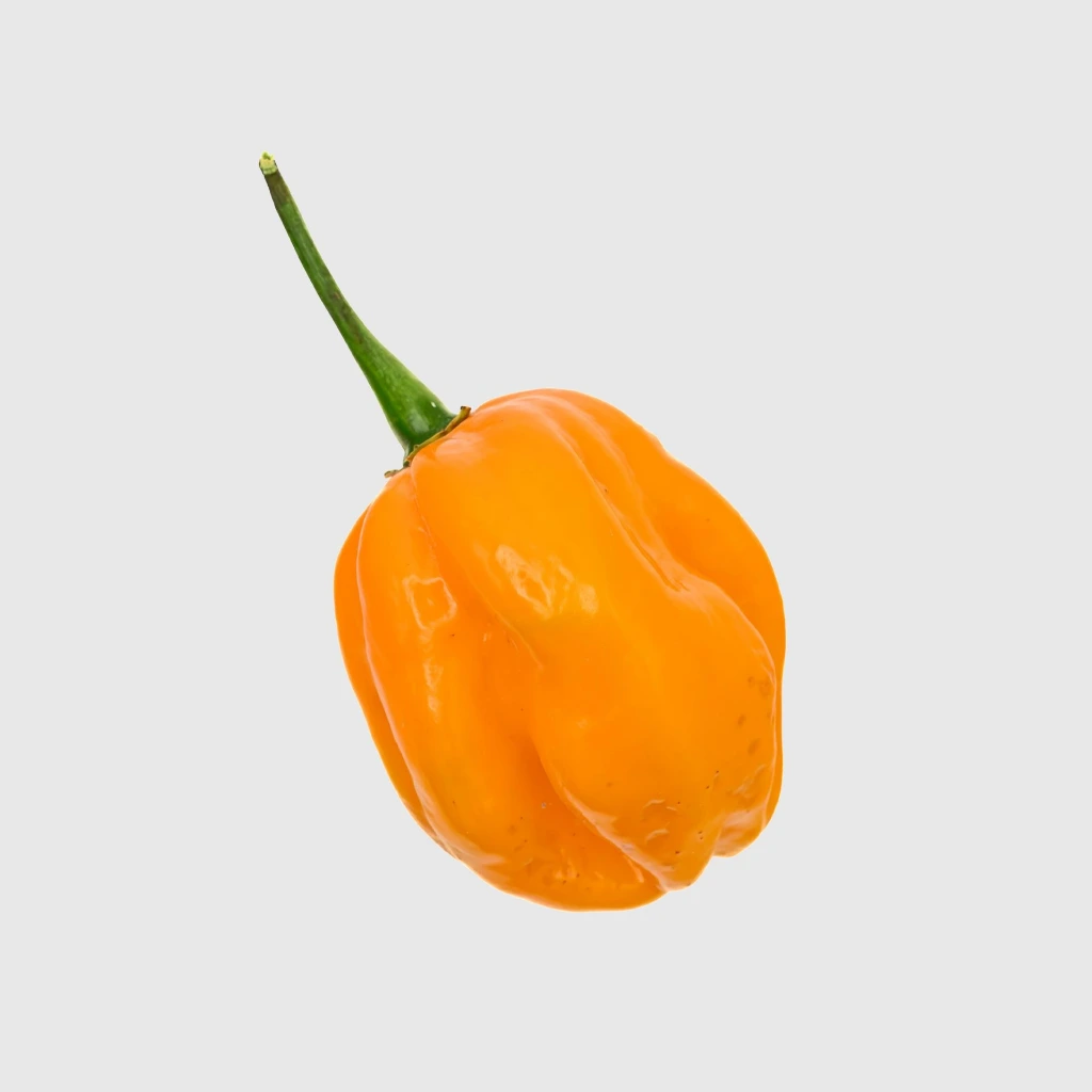 20 - Habanero.webp