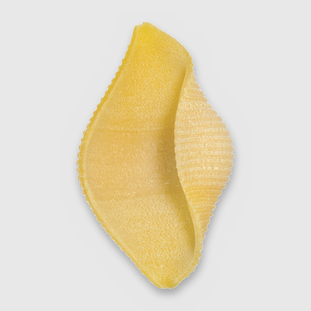 Conchiglioni