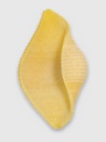 Conchiglioni