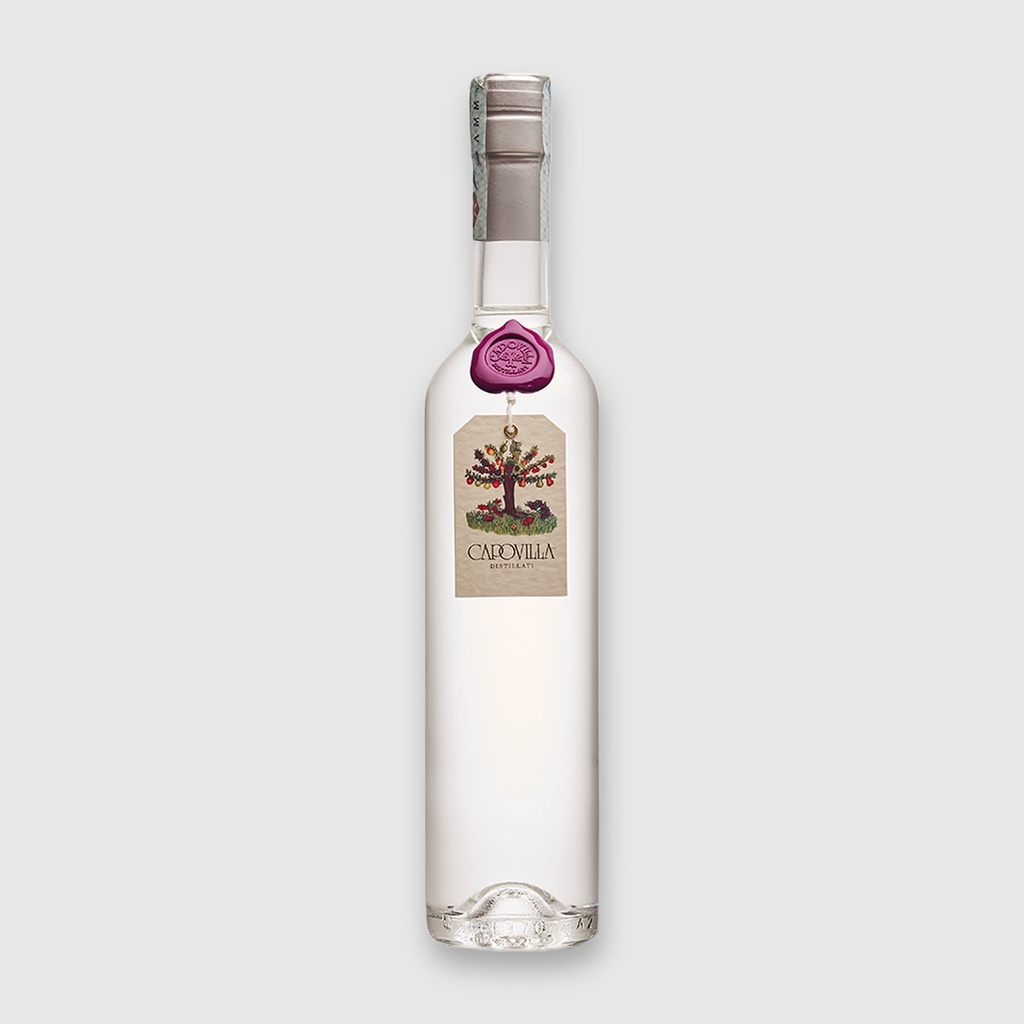 Grappa di Merlot 2011