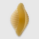 Conchiglie