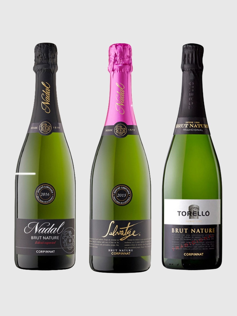Revolution in Penedes