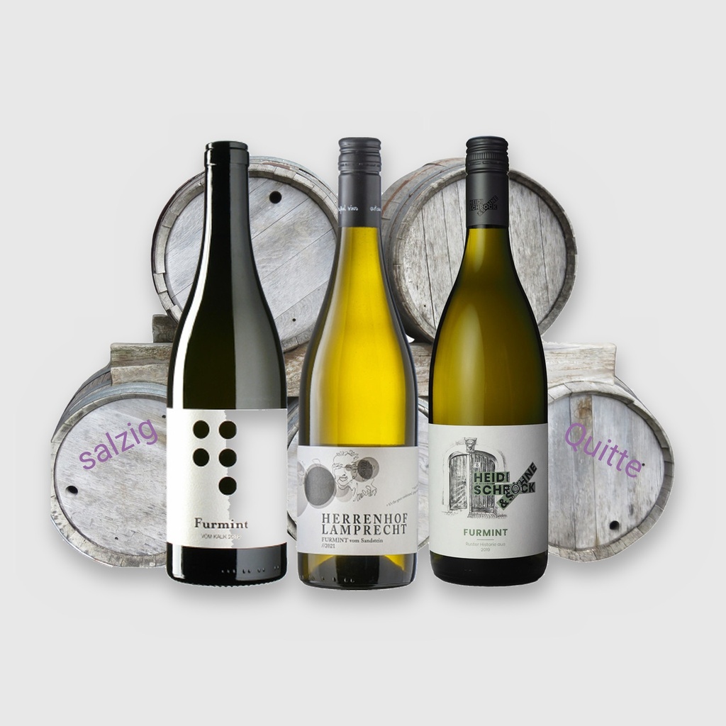 Furmint kennenlernen