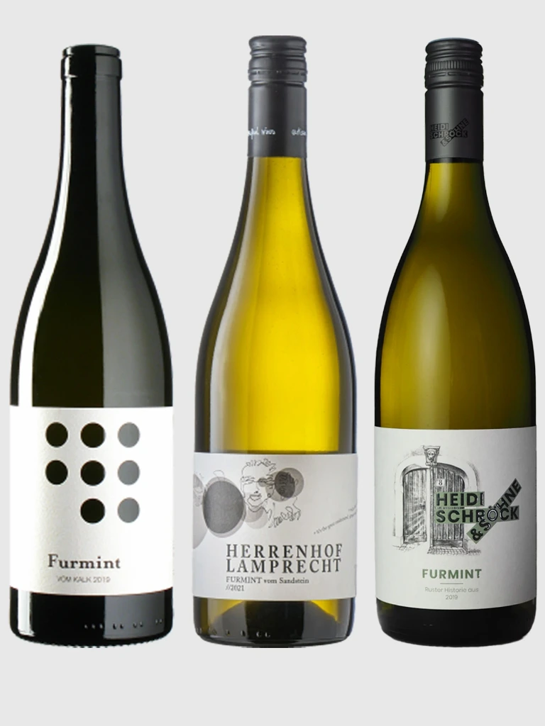 Furmint kennenlernen