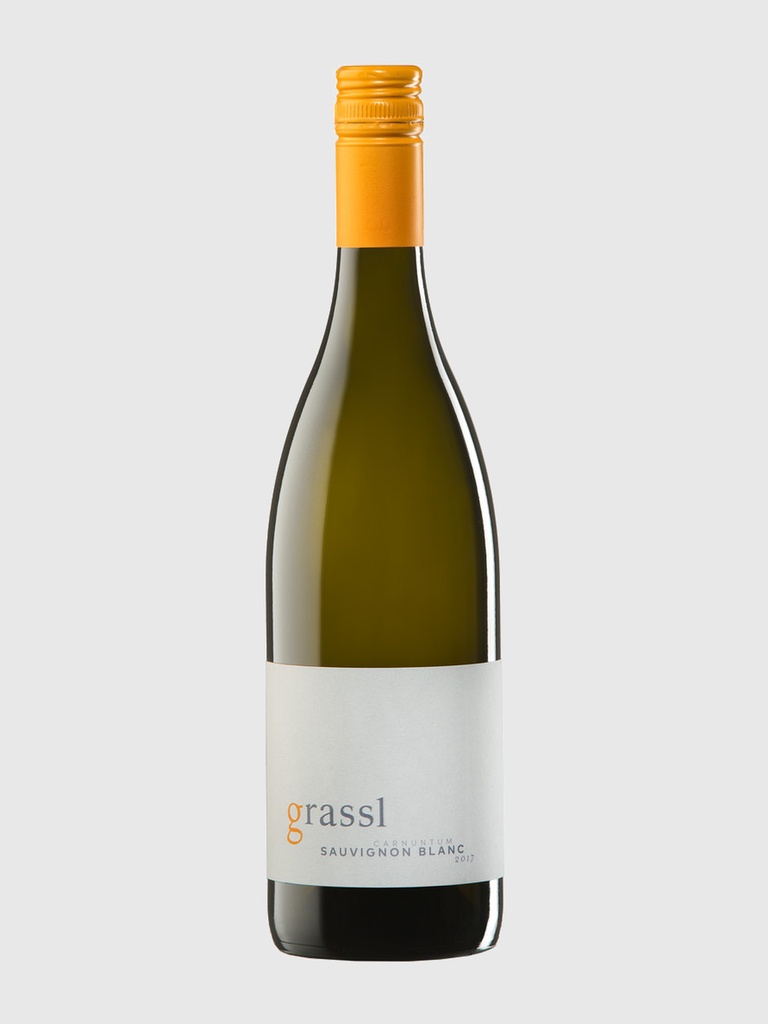 Sauvignon Blanc 2025 Bio
