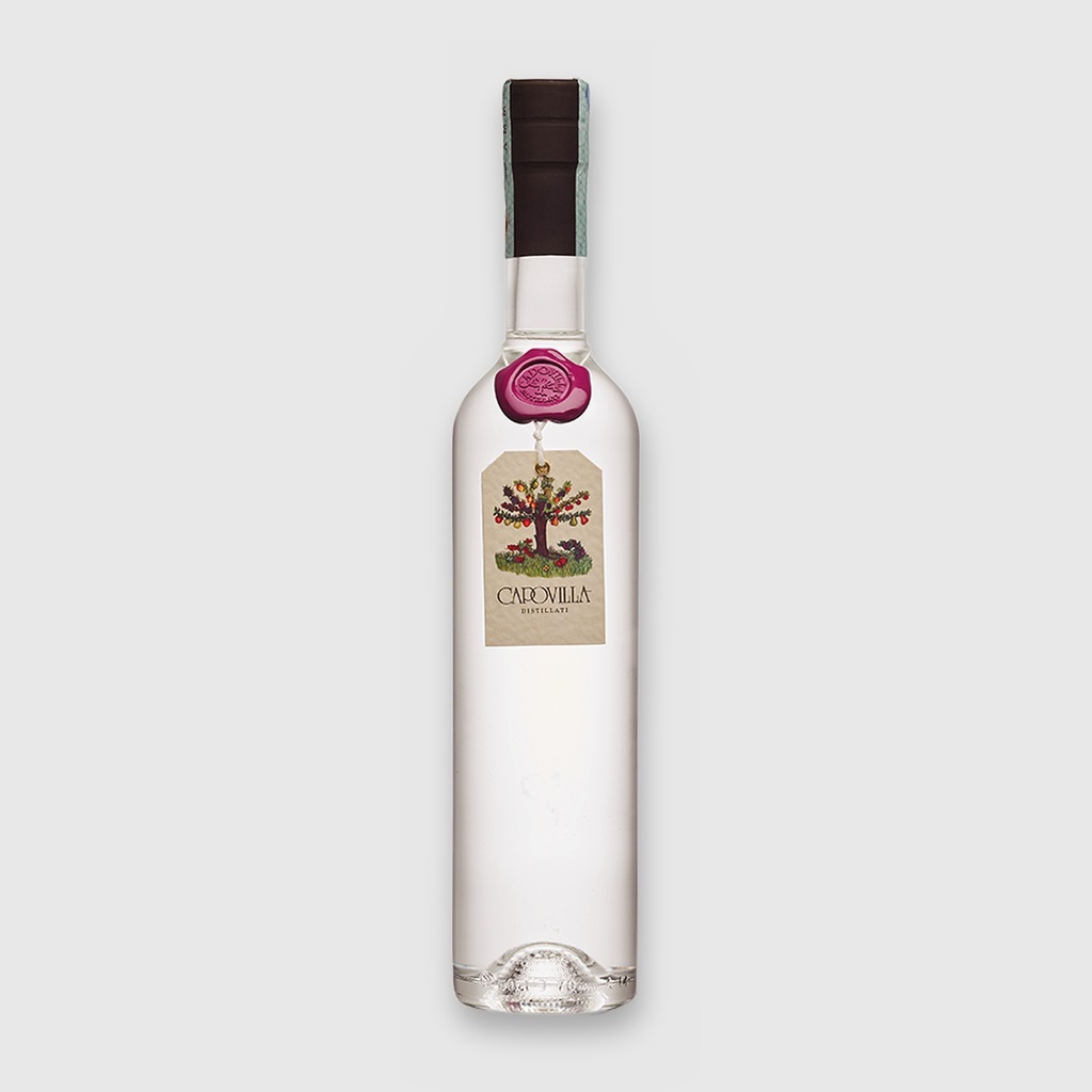 Grappa di Traminer 2012