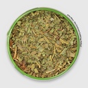 Grüne Minze