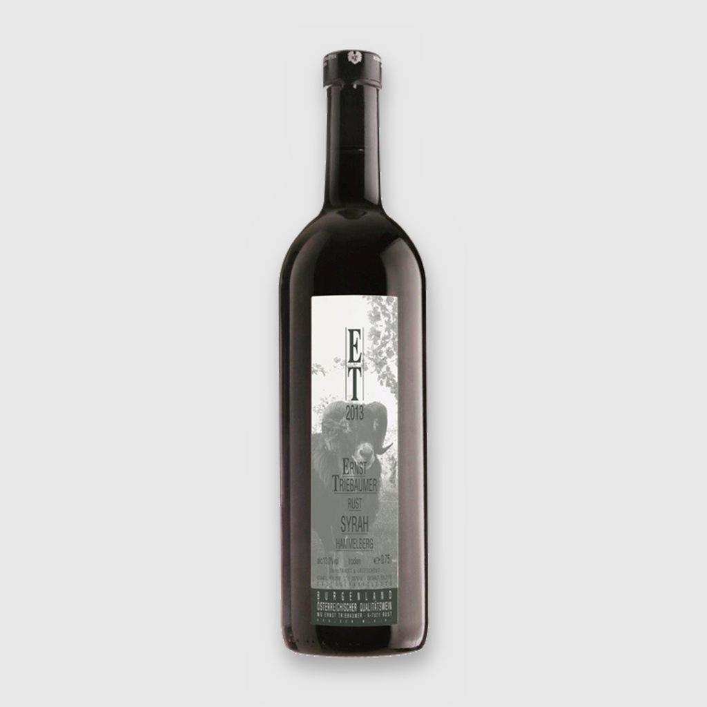 Syrah Hammelwerk 22