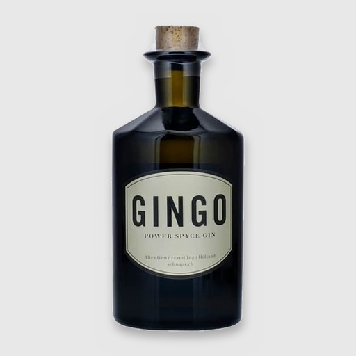 Gingo Power Spyce Gin