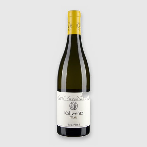 Chardonnay Gloria 22