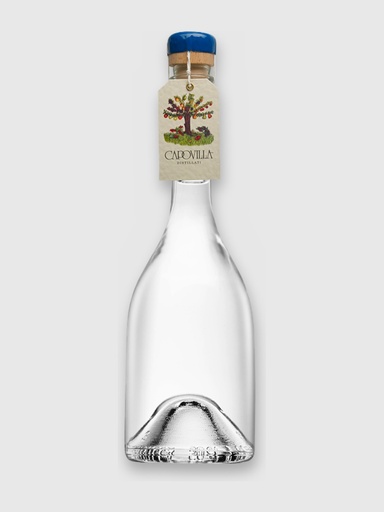 Bacche di Sambuco 2022