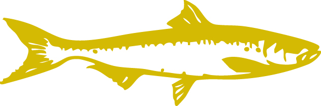 Fisch & Delikatessen